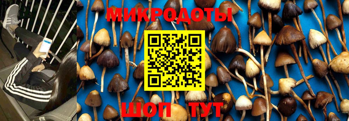 купить наркоту  Псилоцибиновые грибы Cubensis  Вход с VPN  Тара 